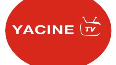 Download Yacine Tv apk and YTV Player Latest version 2024